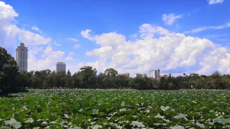 Green Lake Park