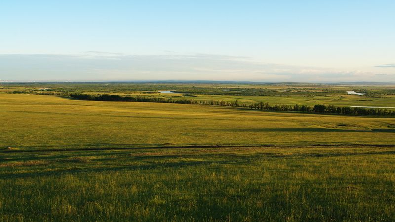 Mongolian Grasslands