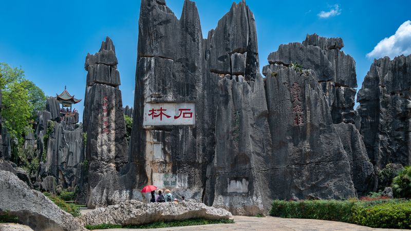 Stone Forest